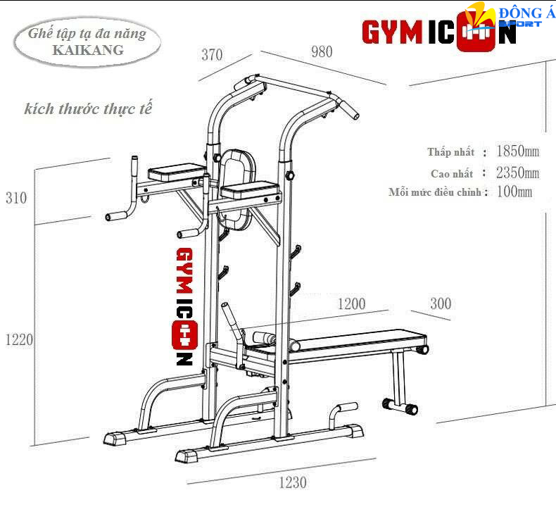 Kích Thước Ghế Tập Tạ Đa Năng T09