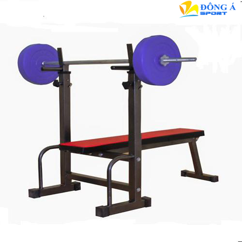 Ghế tập tạ đơn Đông Á tốt nhất