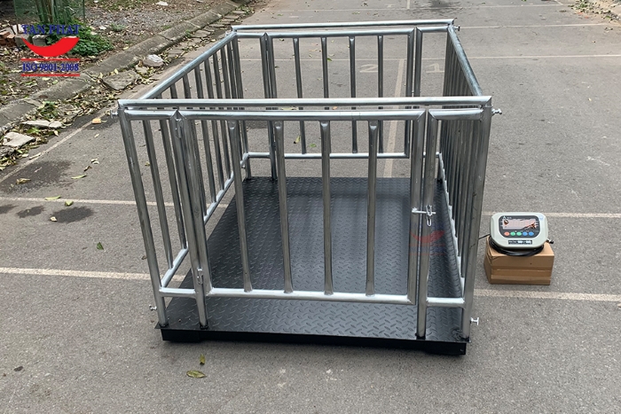 Cân lợn điện tử có sẵn lồng cân