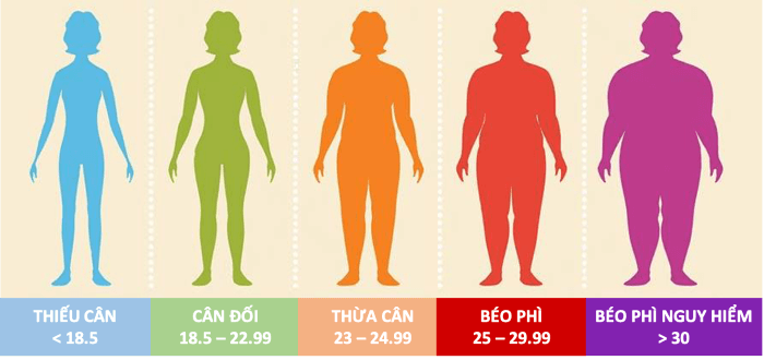 Bảng chỉ số khối cơ thể BMI