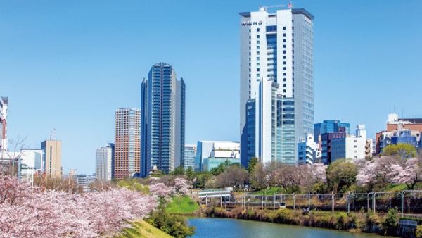 https://bizweb.dktcdn.net/100/180/874/files/hosei-done.jpg?v=1496905358356