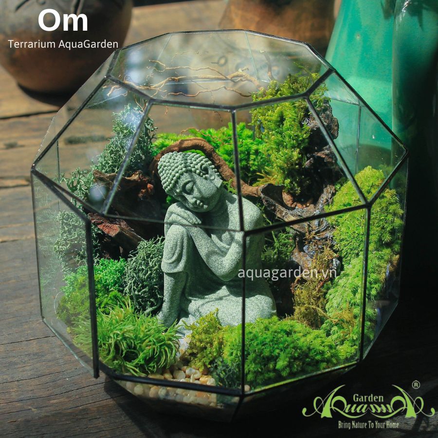 OM | Terrarium Rêu Ngủ Đông | Mẫu Terrarium Đẹp | quatangcaycanh