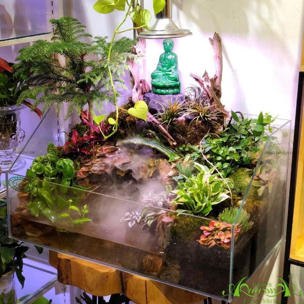 Terrarium AquaGarden - Vườn Trúc Lâm Thiền Tự.