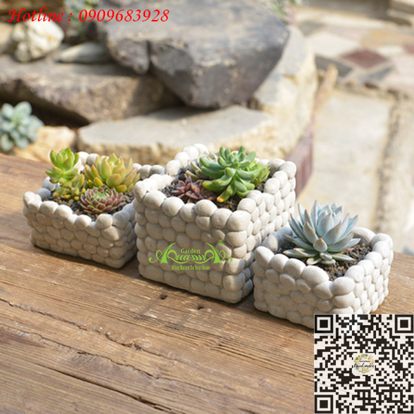 Gốm Sỏi Bi - Aquagarden