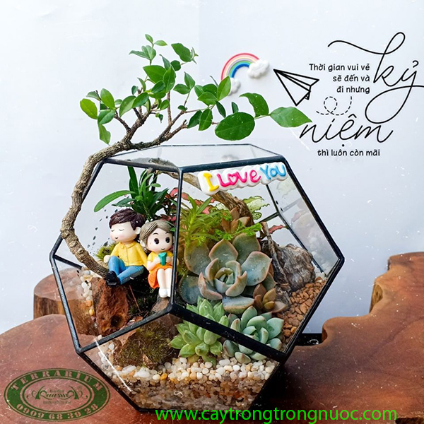 Terrarium AquaGarden