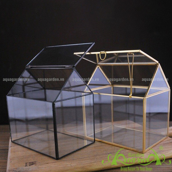NHÀ THẤP GOLD - THỦY TINH ĐA GIÁC AQUAGARDEN 