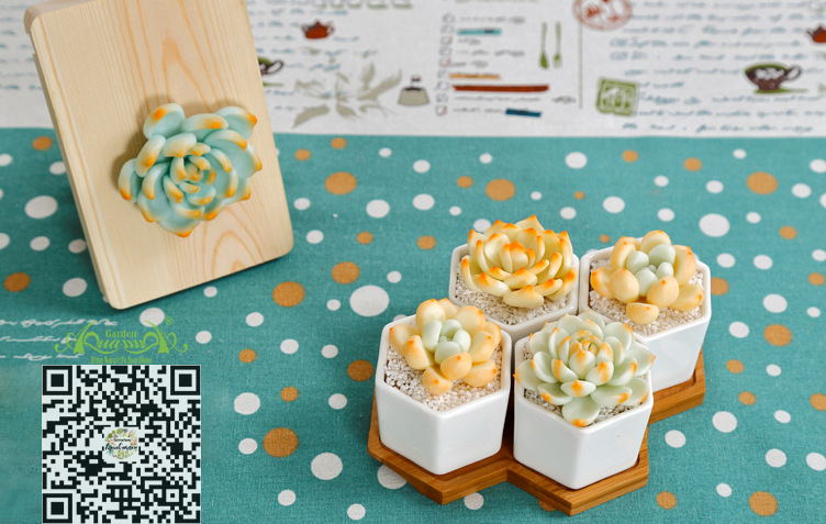 Gốm Lục Giác Đế Gỗ Bộ 4 - Aquagarden
