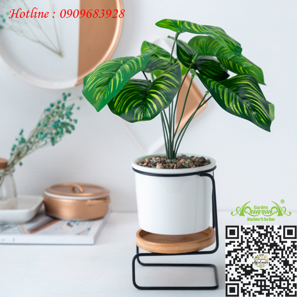 Gốm Khung Sắt Ghế Tựa - Aquagarden