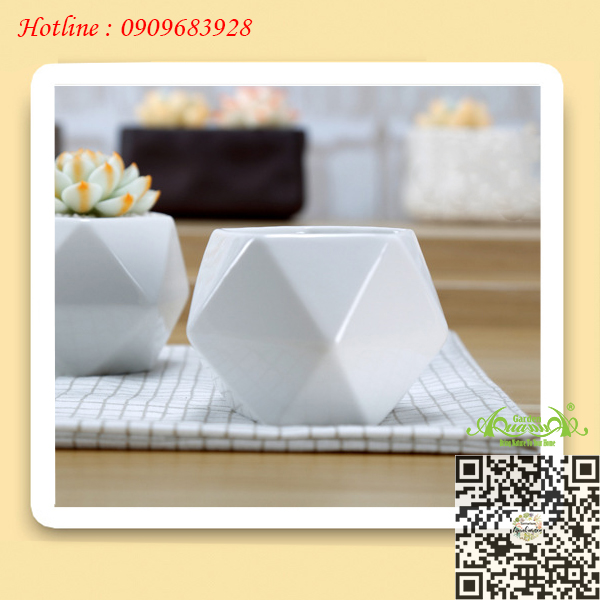 Gốm Kim Cương Trắng - Aquagarden