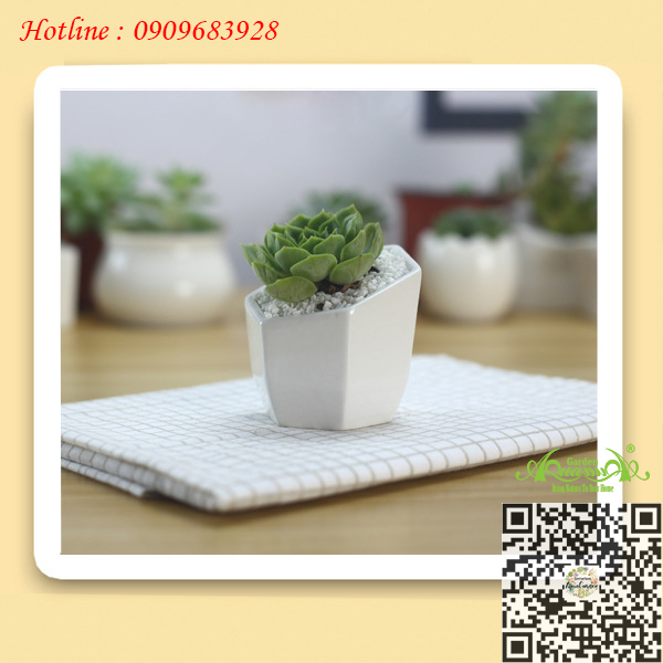 Gốm Lục Giác Miệng Xéo Trắng - Aquagarden