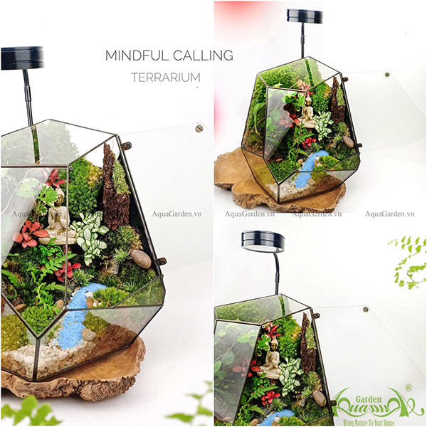 Terrarium - Mindful Calling