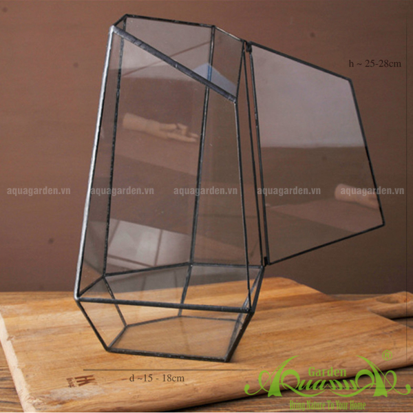 THỦY TINH ĐA GIÁC AQUAGARDEN 