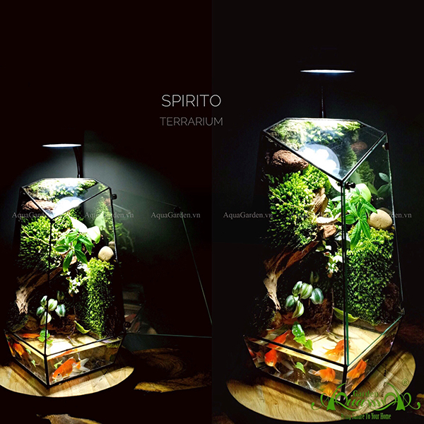 Terrarium - Spirito