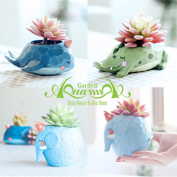 THÚ TỔNG HỢP - Gốm AquaGarden