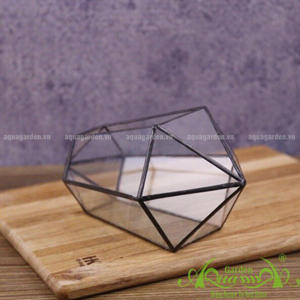 LỤC GIÁC 2 CHÓP NGANG   THỦY TINH ĐA GIÁC AQUAGARDEN