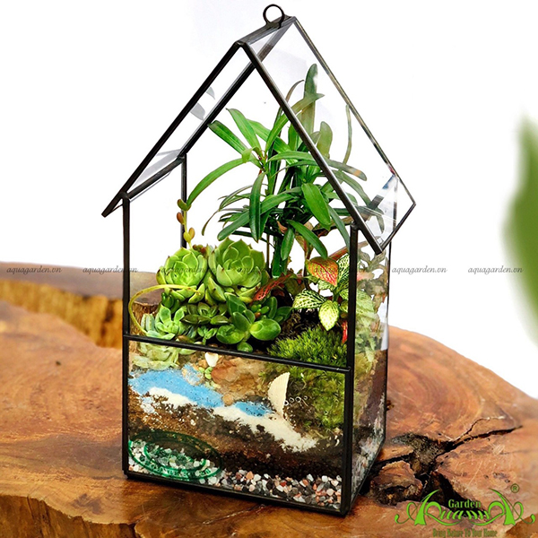 Terrarium 34 - Túp Lều Lý Tưởng