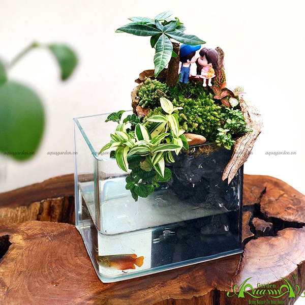  Terrarium 06 - Ánh Nắng Của Anh