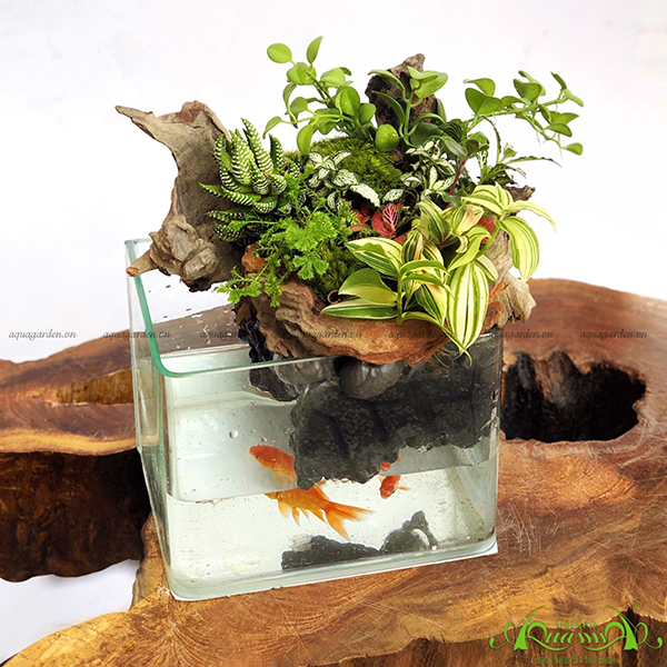 Terrarium 23 - Hòn Non Bộ Mini