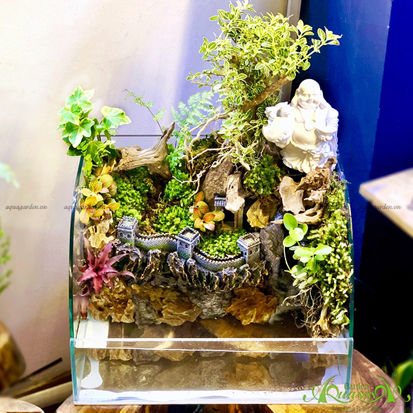 Terrarium 36 - Đồi Tiên Cảnh