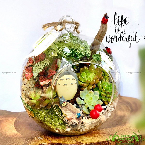 Terrarium 17 - Life Is Wonderful