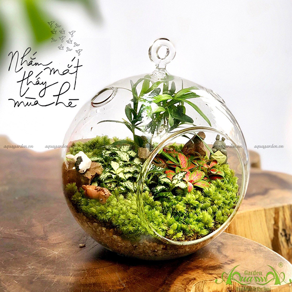 Terrarium 19 - Nhắm Mắt Thấy Mùa Hè