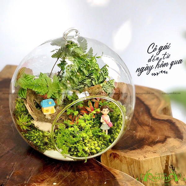 Terrarium 31 - Hoài Niệm