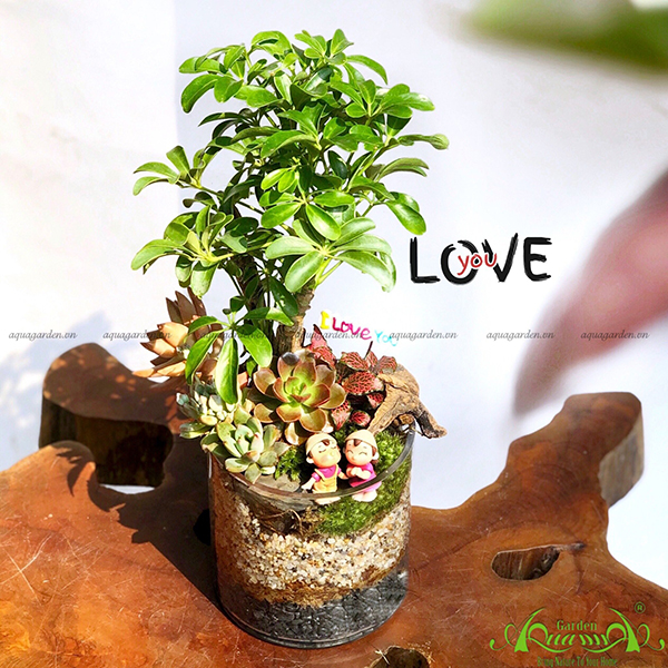 Terrarium 29 - LOVE