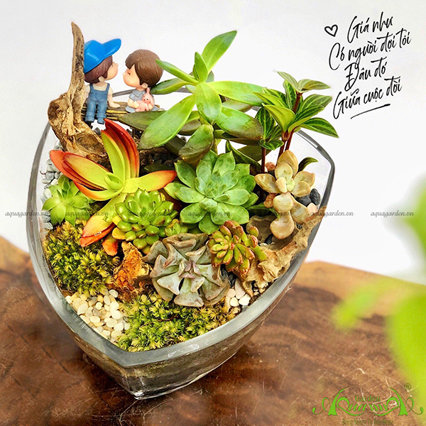 Terrarium 21 - Hành Trình Tìm Hạnh Phúc