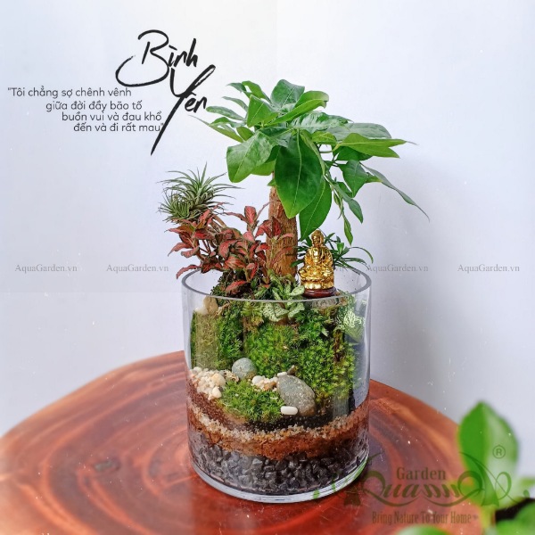 Terrarium AquaGarden - Bình Yên.