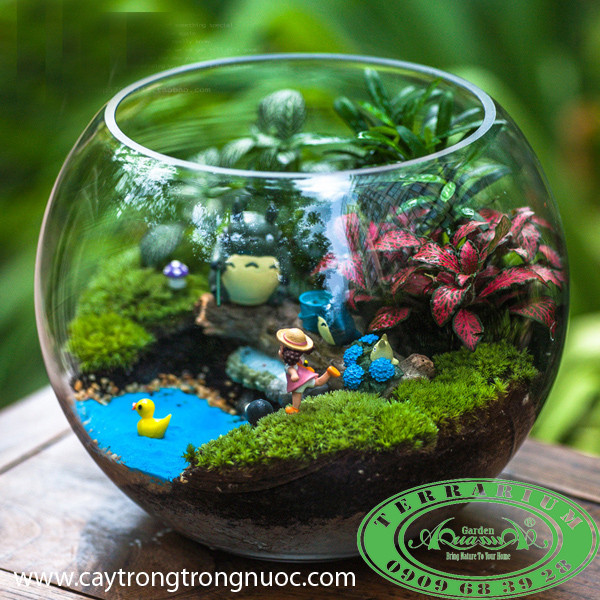 Terrarium AquaGarden - Dòng Sông Xanh.