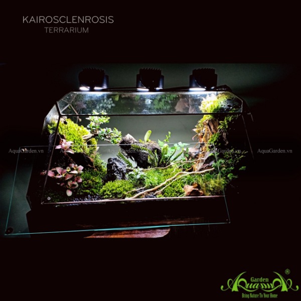 Terrarium AquaGarden - Kairosclenrosis