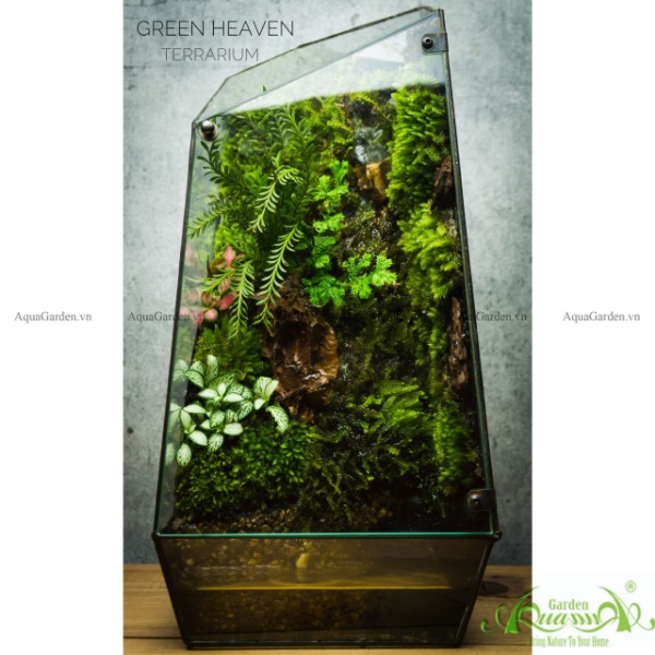 Terrarium AquaGarden - Green Heaven.