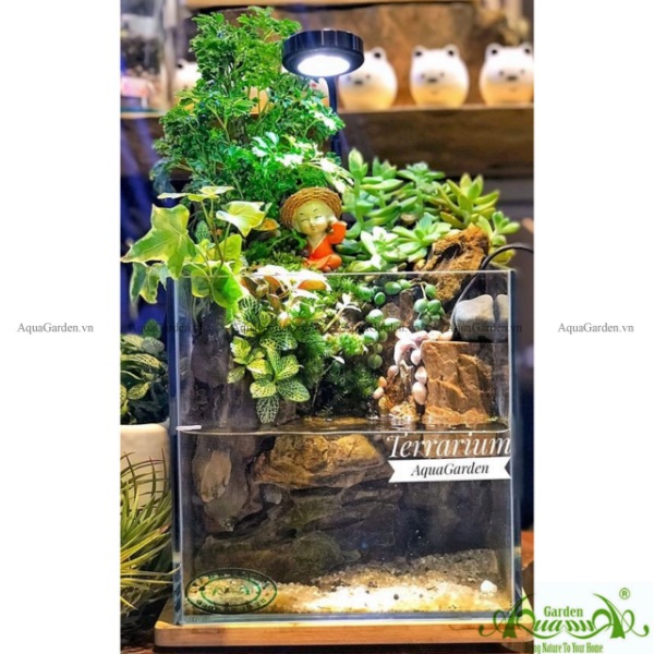 Terrarium AquaGarden - Tâm Hoan Hỉ.