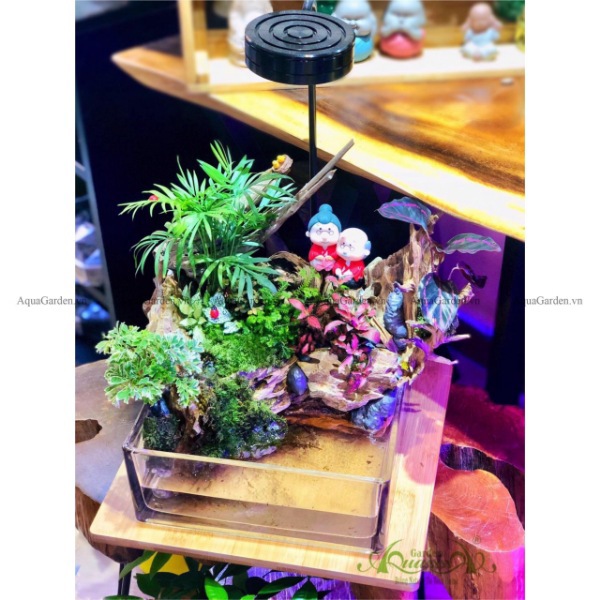 Terrarium AquaGarden&nbsp;-&nbsp;Mãi Mãi Một Tình Yêu.