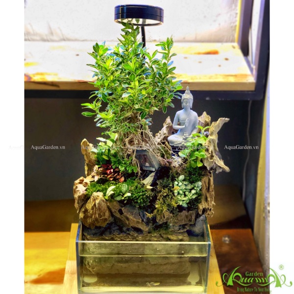 Terrarium AquaGarden  - Tìm Về Bình Yên.