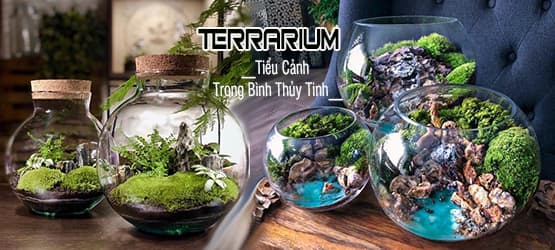 Terrarium