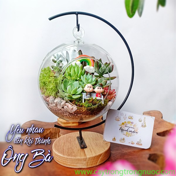Terrarium 