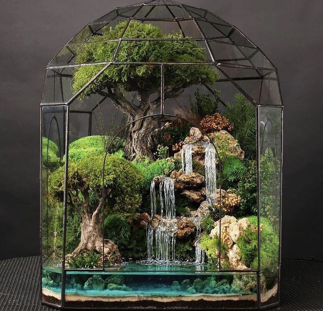 Terrarium Tường Rêu Signature