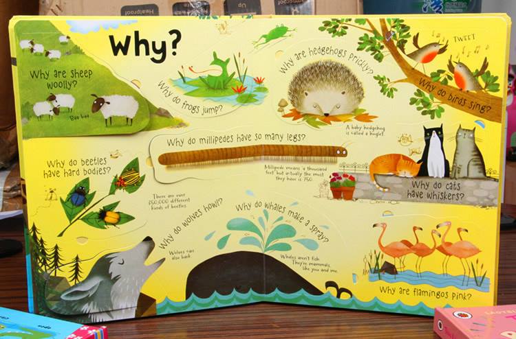Lift the flap Questions and answers - Animals - SEB20 Chăn ga gối đệm, bộ chăn ga gối đệm, đồ trang trí, Lift the flap Questions and answers - Animals - SEB20 Chăn ga gối đệm, bộ chăn ga gối đệm, đồ trang trí,