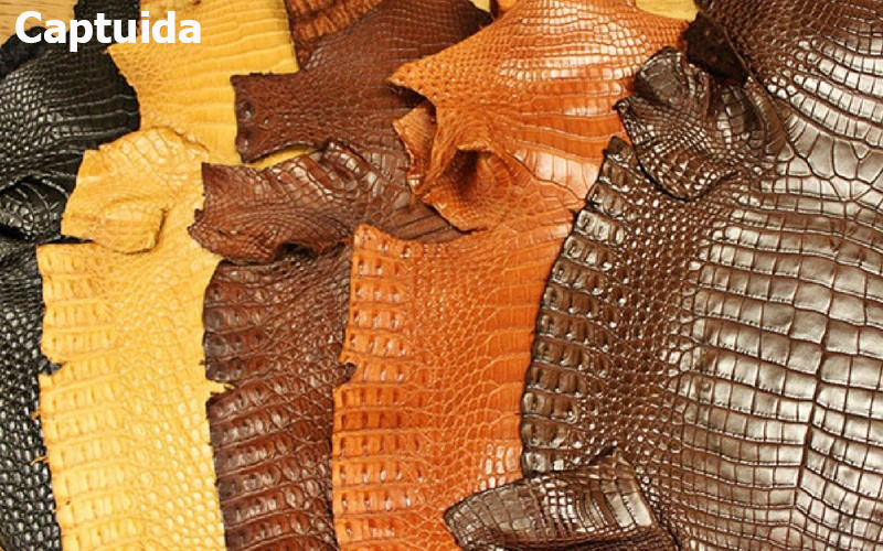 So sánh sự giống và khác nhau giữa da bò và da cá sấu