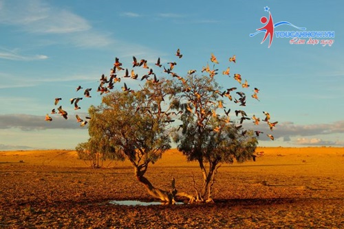 Ảnh đẹp tháng 10/2014 của National Geographic