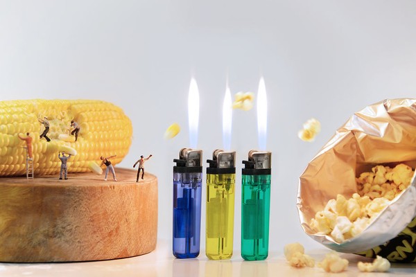 Cuộc sống chân thực của con người trong thế giới tí hon