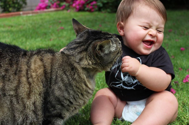 Chiêm ngưỡng bộ ảnh tình bạn của bé yêu và chú mèo dễ thương