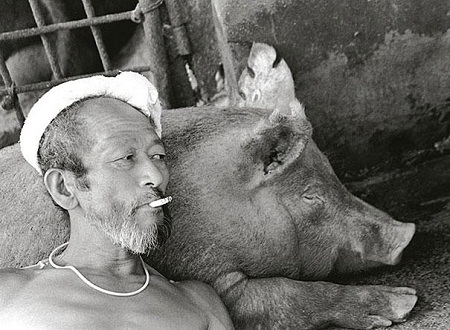 Tại sao bộ ảnh “hạnh phúc của một lão nông” gây sốt?