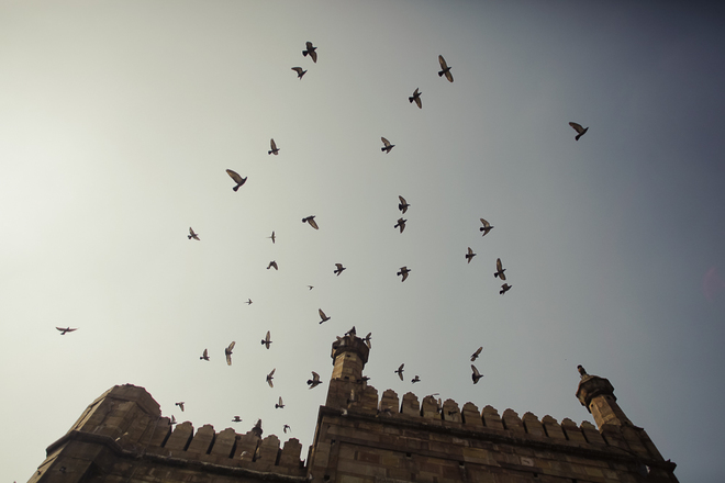 Varanasi - thành phố bí ẩn bên sông Hằng