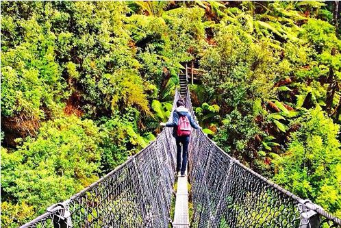 Cùng ngắm 12 kiểu chụp ảnh phổ biến nhất trên Instagram