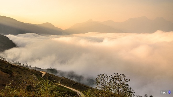 Ngây ngất với mây trắng Ngải Thầu 