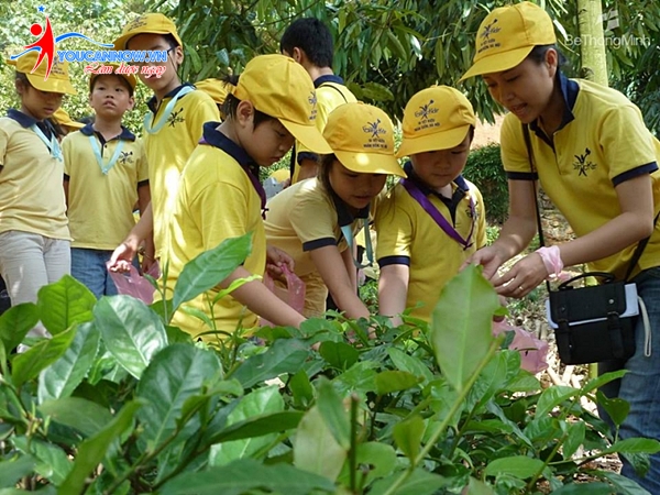 Lớp học kỹ năng mềm cho trẻ em 7-10 tuổi ở Hà Nội