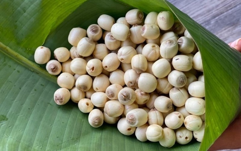 Mẹo chữa mất ngủ bằng hạt sen cực hiệu quả không phải ai cũng biết.