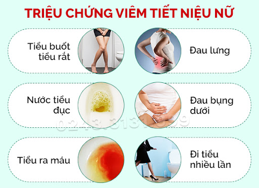 triệu chứng viêm đường tiết niệu nữ